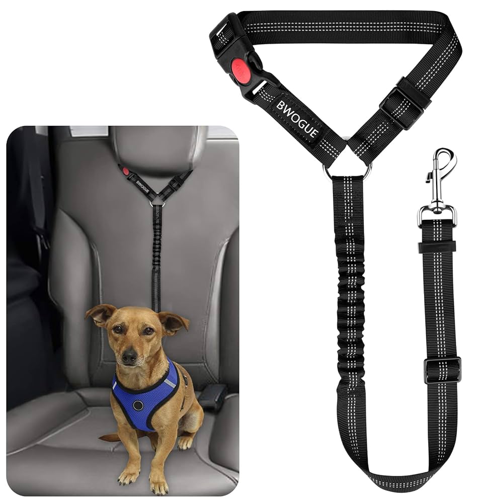 dog car seat lead