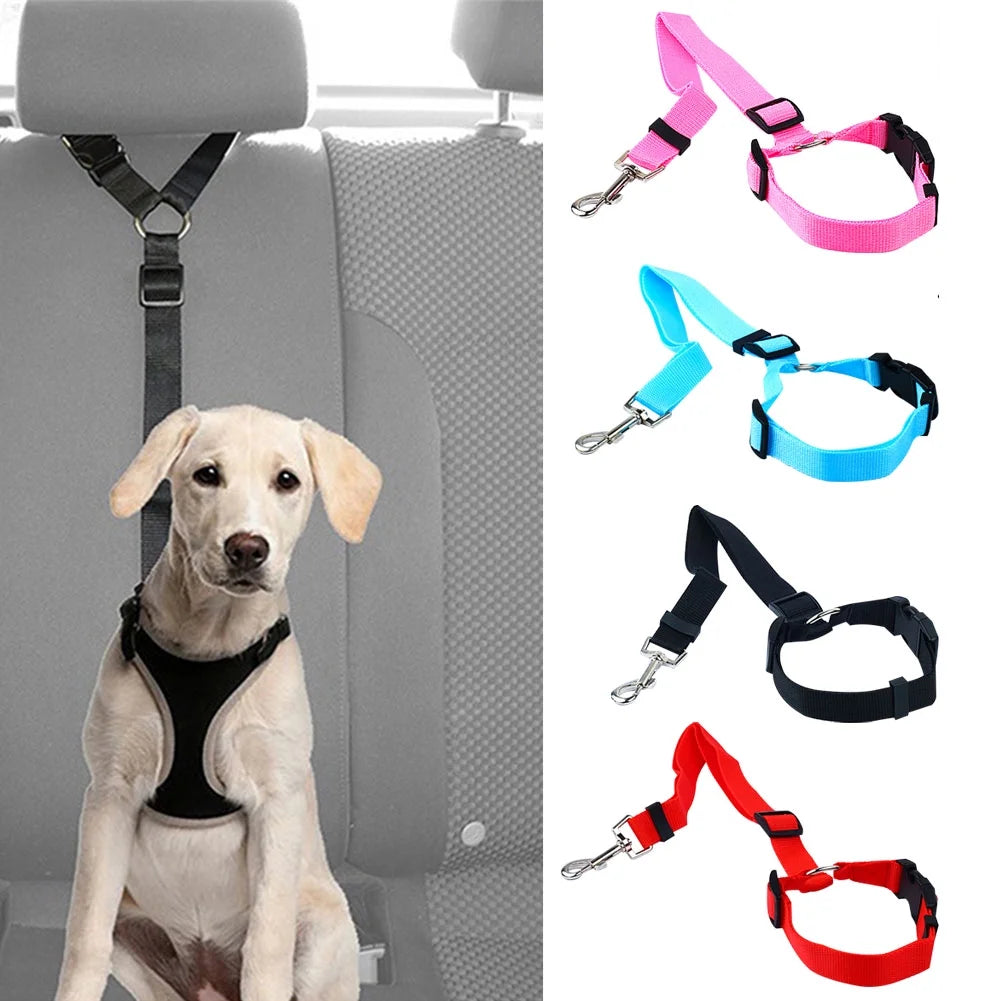 dog car seat lead