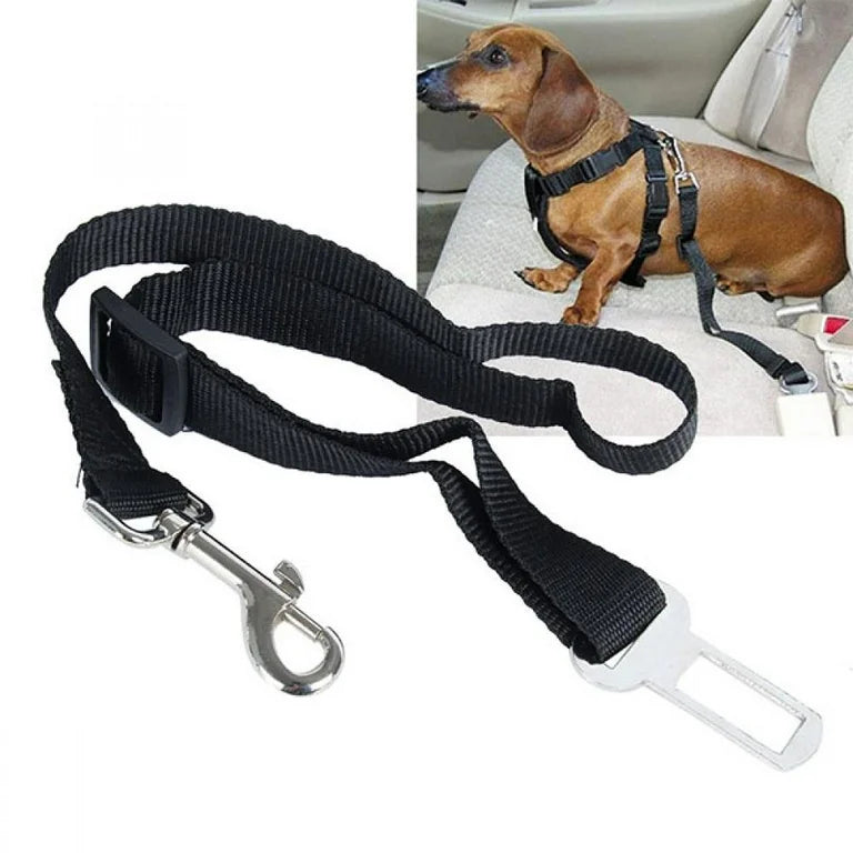 dog car seat lead