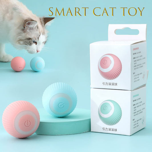 Smart Cat Toy